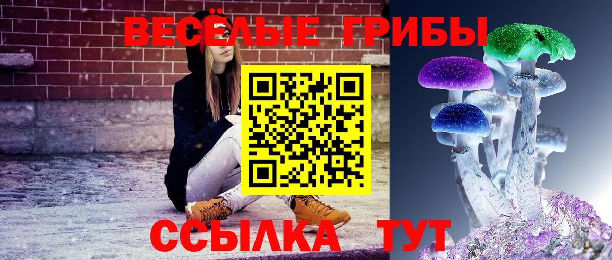 купить  сайты  Псилоцибиновые грибы мицелий  Вход с VPN  Сертолово 