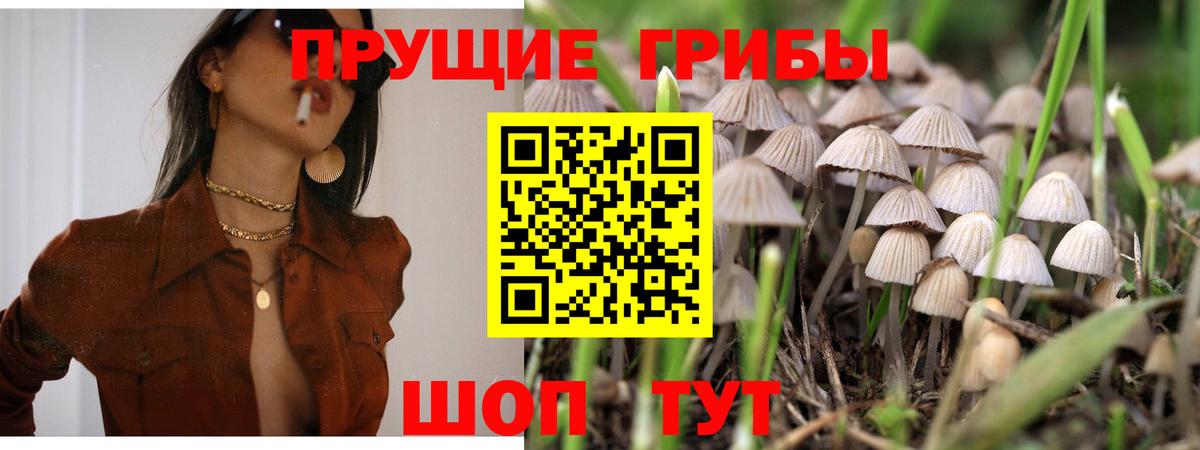 Галлюциногенные грибы Cubensis Сертолово